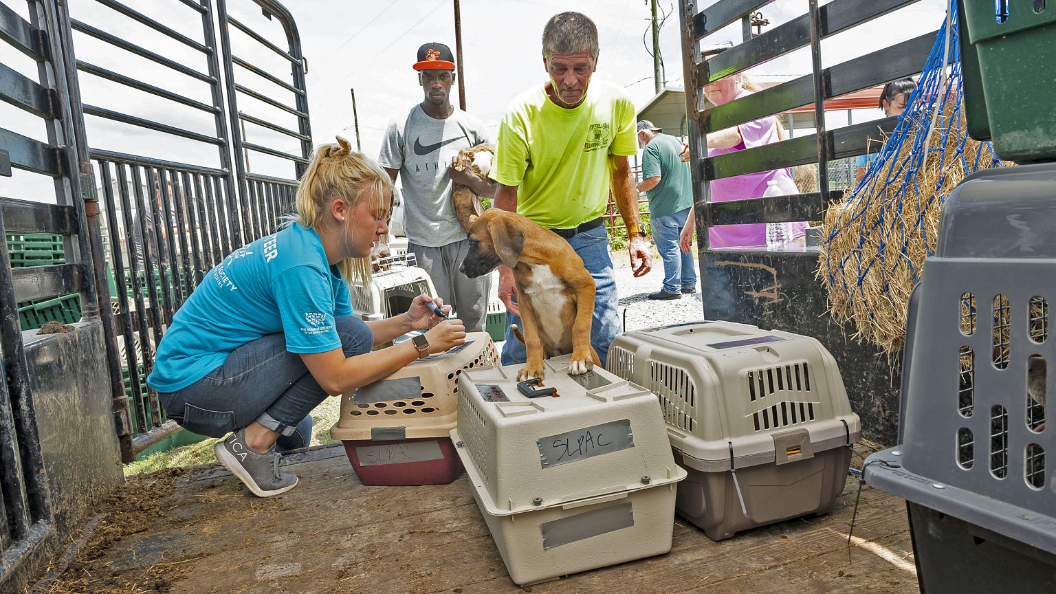 Image: Tropical Storm Barry animal evacuations