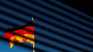 El Tribunal Constitucional alemán reconoce la tercera categoría de género