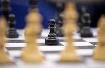 Chess Tournament "Right Alsterufer vs. Left Alsterufer"