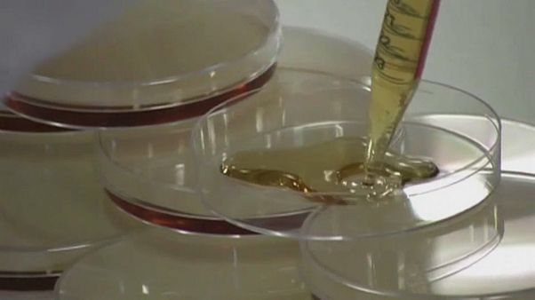 Wonders of science: dying boy gets new skin - and new life Wonders of science: dying boy gets new skin - and new life