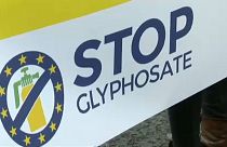 AB'de glyphosat savaşı devam ediyor