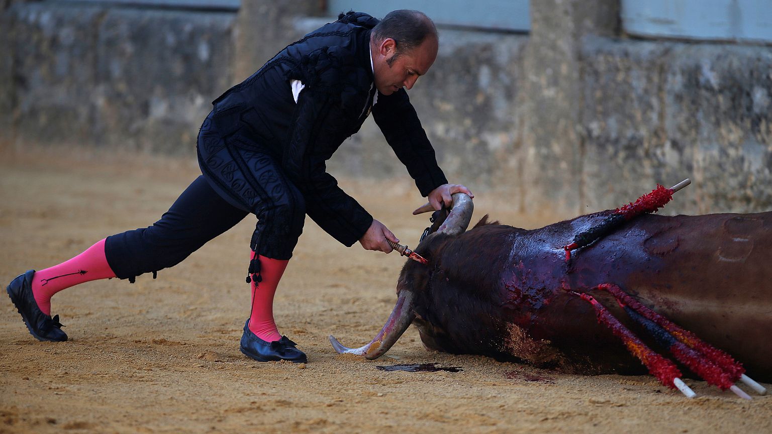 La SPA dépose plainte pour porter l'estocade à la corrida