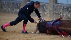 La SPA dépose plainte pour porter l'estocade à la corrida