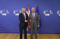 The Brief: Brexit'te zaman İngiltere'nin aleyhine işliyor, AB glyphosat konusunda kilitlendi