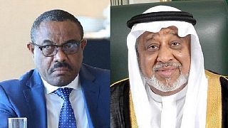 Ethiopia believes Saudi crackdown won't affect Al Moudi's local investments