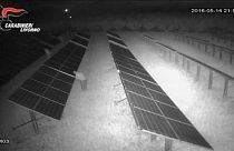 Carabinieri smantellano rete ladri di pannelli solari