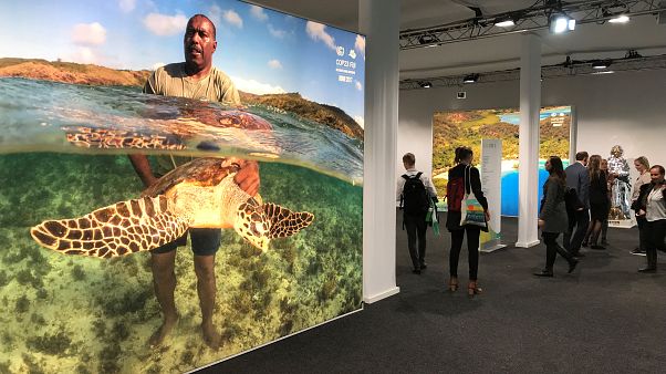 COP23: Fiji querem mais medidas para combater alterações climáticas COP23: Fiji querem mais medidas para combater alterações climáticas