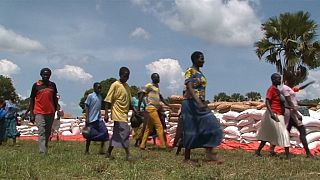 La famine menace des réfugiés sud-soudanais en Ouganda [no comment]