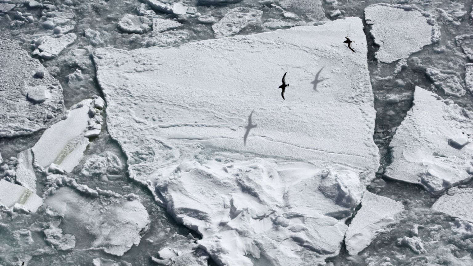 Explorers bid to become first to reach South Pole using only green power