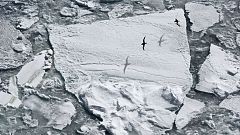 Explorers bid to become first to reach South Pole using only green power