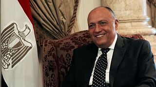 مصر تدخل على خط الأزمة اللبنانية السعودية