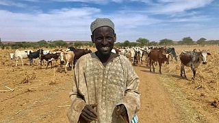 كيف تحول رعاة الماشية في النيجر ومالي إلى متشددين؟