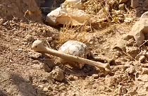 Valas comuns com "pelo menos 400 corpos" encontradas no Iraque