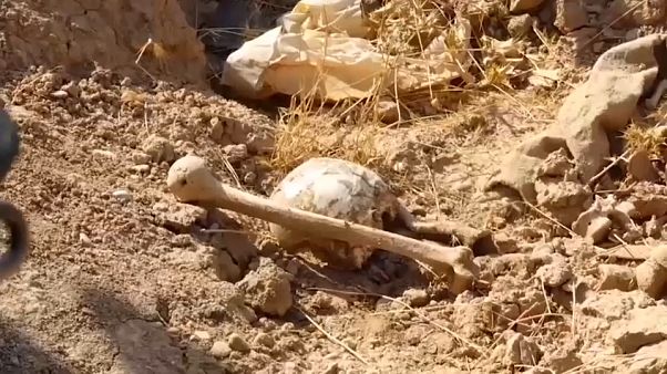 Massengräber im Irak entdeckt - ehemalige "IS"-Hinrichtungsstätte? Massengräber im Irak entdeckt - ehemalige "IS"-Hinrichtungsstätte?