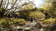 Menalon Trail: 1η Πανελλήνια Συνάντηση Μονοπατιών