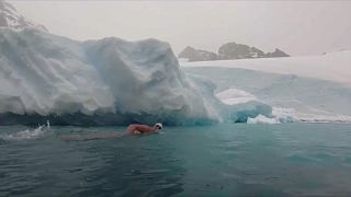 ما المغزى من سباحة لويس بوغ في القارة القطبية الجنوبية؟