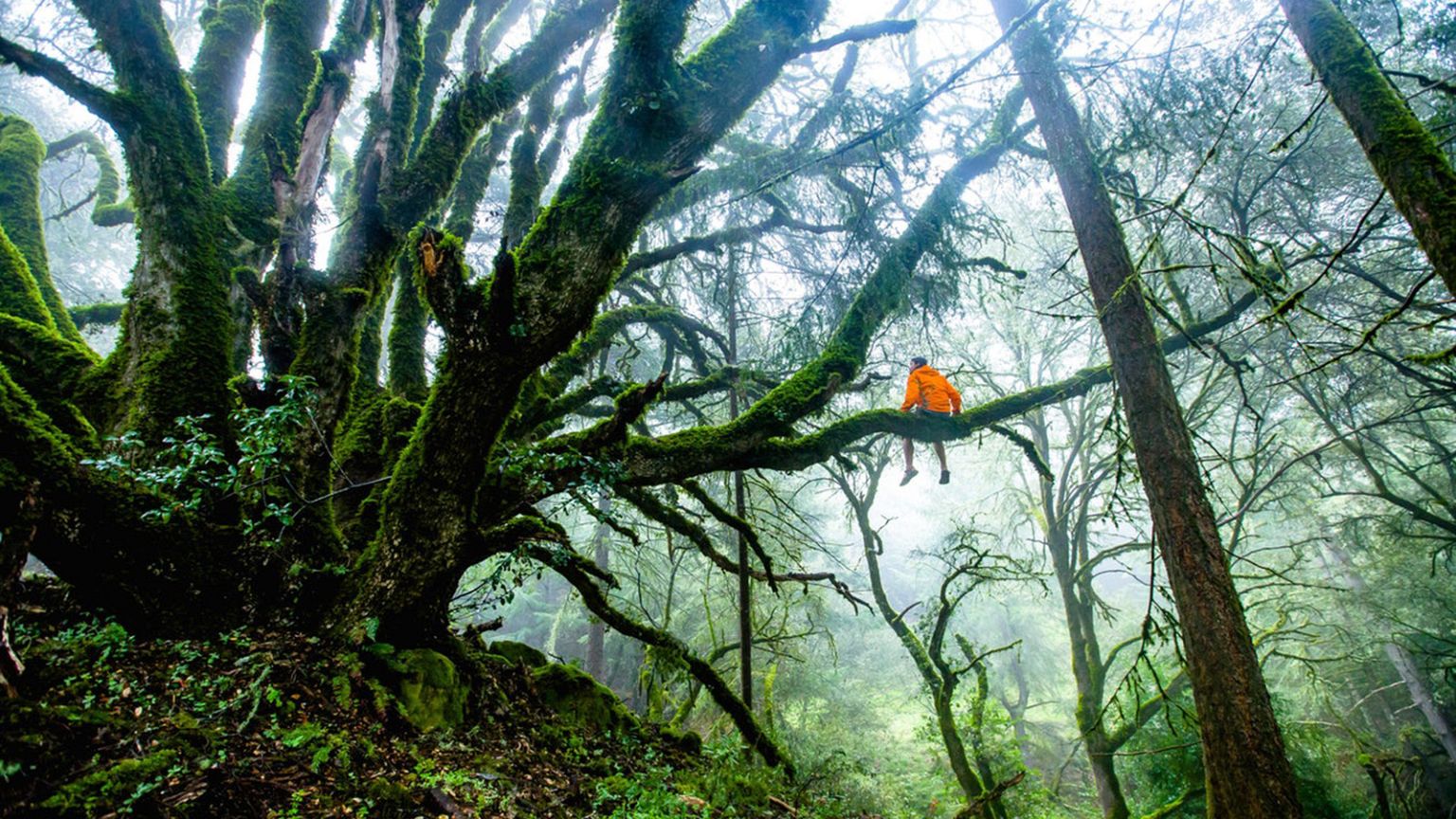 These countries tell why ecotourism is important