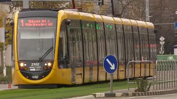 Fakivágással kezdték az 1-es villamos meghosszabbítását Fakivágással kezdték az 1-es villamos meghosszabbítását