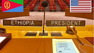 Ethiopia, U.S. must champion lifting of UNSC arms embargo on Eritrea
