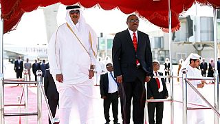 Ethiopian PM set to meet Emir of Qatar on visit to Doha