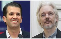 Russiagate: Trumps Sohn Donald Jr. hatte im Wahlkampf Kontakte zu WikiLeaks