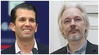 Russiagate: Trumps Sohn Donald Jr. hatte im Wahlkampf Kontakte zu WikiLeaks