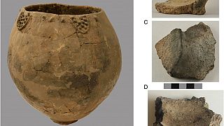 Gut gelagert? Ältester Wein der Welt ist 8000 Jahre alt