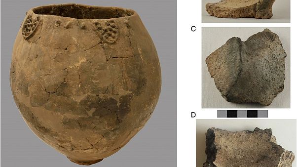 World's oldest wine 'made in Georgia' World's oldest wine 'made in Georgia'