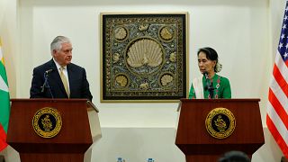 Tillerson calls for Rohingya probe