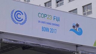 COP 23: Yeşil finans ve yatırım olanakları