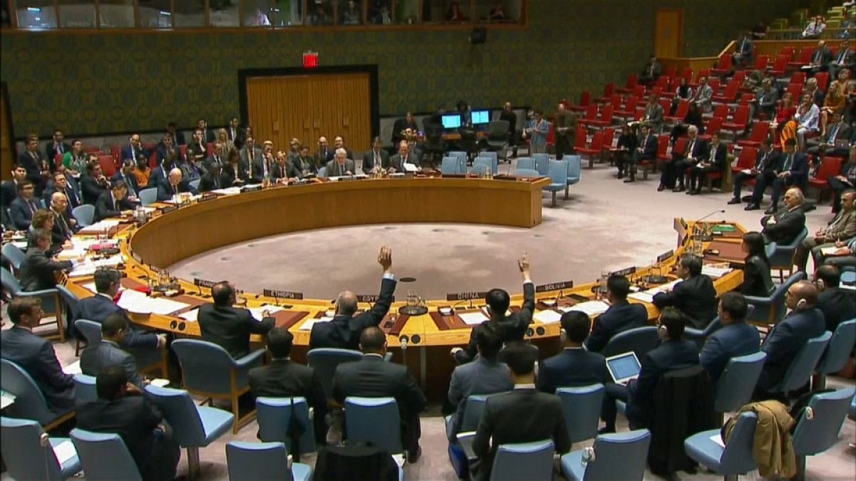 Russia rejects UN SC resolution on Syria probe
