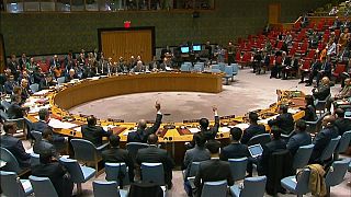 Russia rejects UN SC resolution on Syria probe