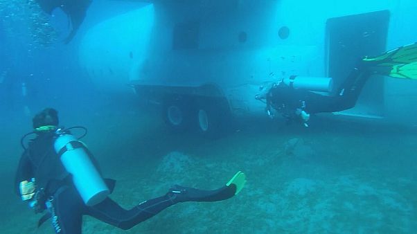 Un vieil avion militaire transformé en... récif corallien Un vieil avion militaire transformé en... récif corallien