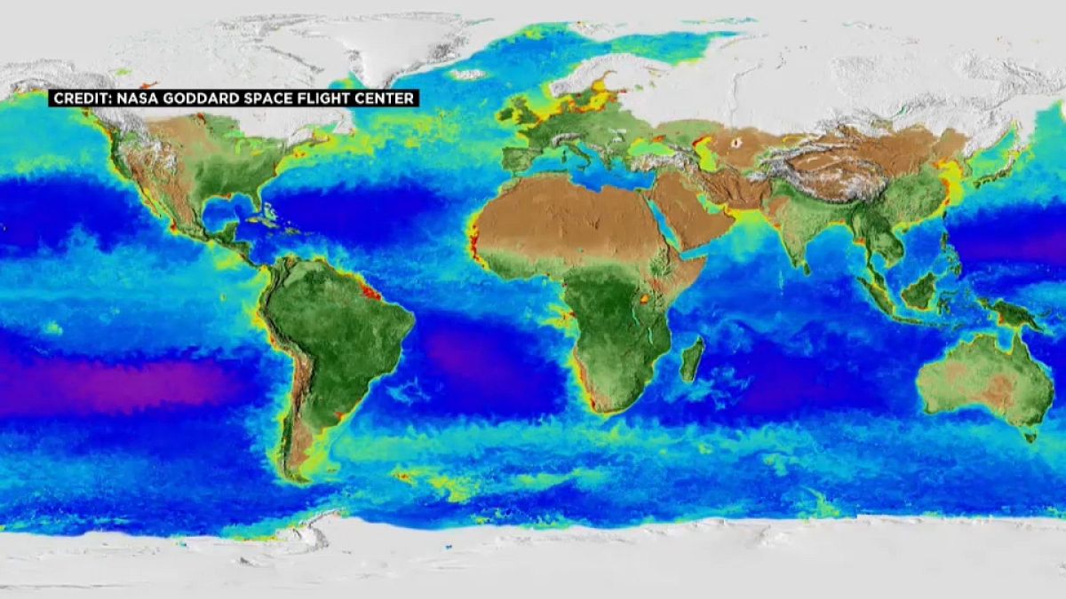 Time-lapse videón a Föld elmúlt 20 éve