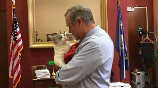 Image: Sen. Jeff Merkley meets Delilah the cat