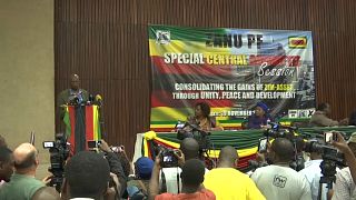 Правящая партия Зимбабве требует ухода Мугабе