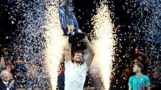 Tennis: ATP Finals, vince Dimitrov