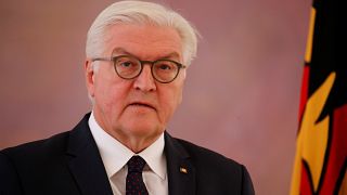 German president urges political "responsibility" after collapse of coalition talks