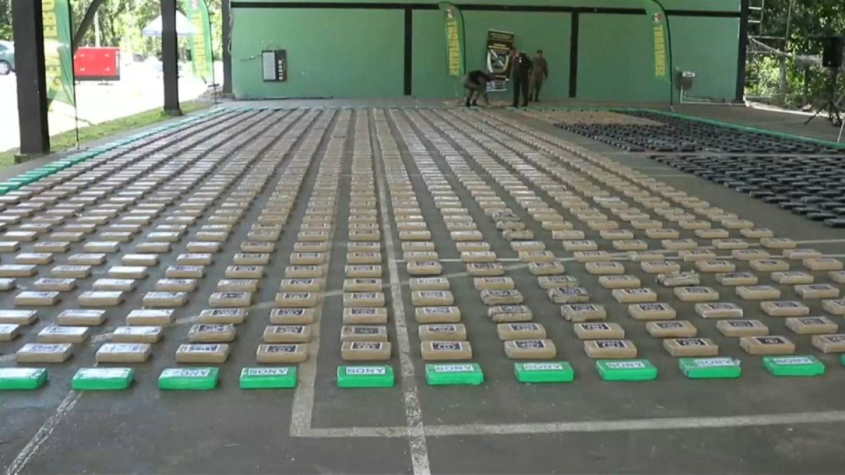 Panama on track for record illegal drug haul