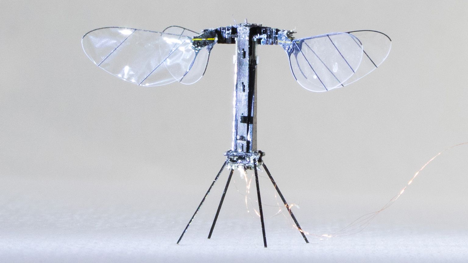 Image: RoboBee X-wing