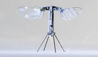 The RoboBee X-wing has four wings driven by two piezoelectric actuators. The vehicle has a total wingspan of 3.4 centimeters, or less than an inch and a half.