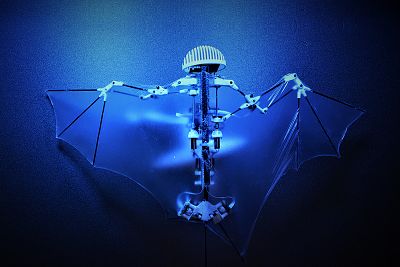 Bat Bot has a lightweight body and gossamer wings that fold like a real bat\'s.