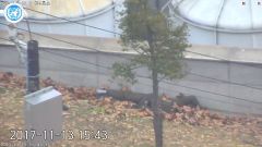 OHE: Η Β. Κορέα παραβίασε την ανακωχή με την Σεούλ