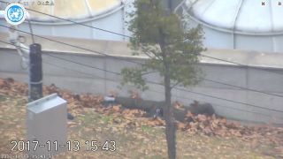 [Vidéo] Défection d'un soldat nord-coréen sous les balles