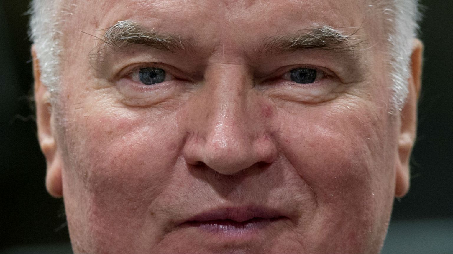 Lahey Mladic'i soykırımdan suçlu buldu