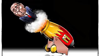 African cartoonists join Mugabe exit party with colour and fun