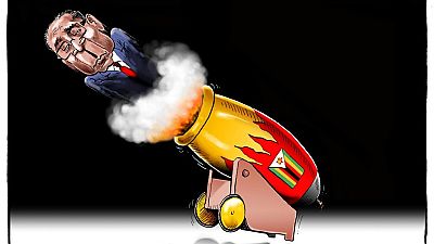African cartoonists join Mugabe exit party with colour and fun