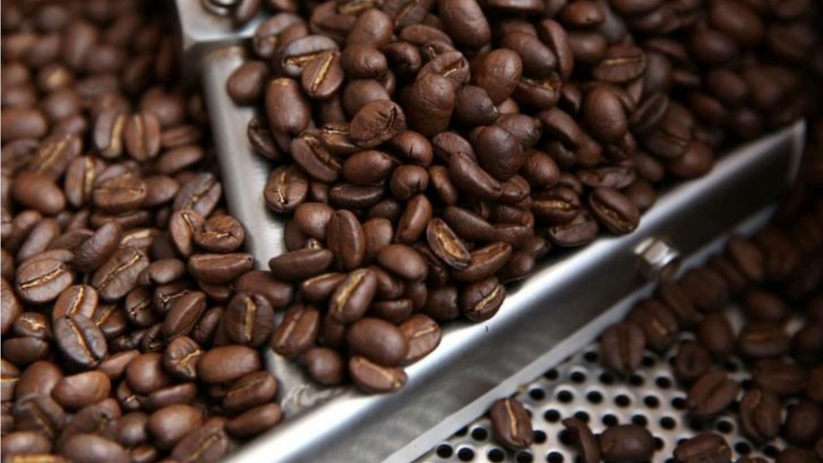 3 أقداح من القهوة يوميا ربما تحمي الانسان من الأمراض