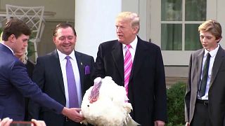 Thanksgiving lieber ohne Trump