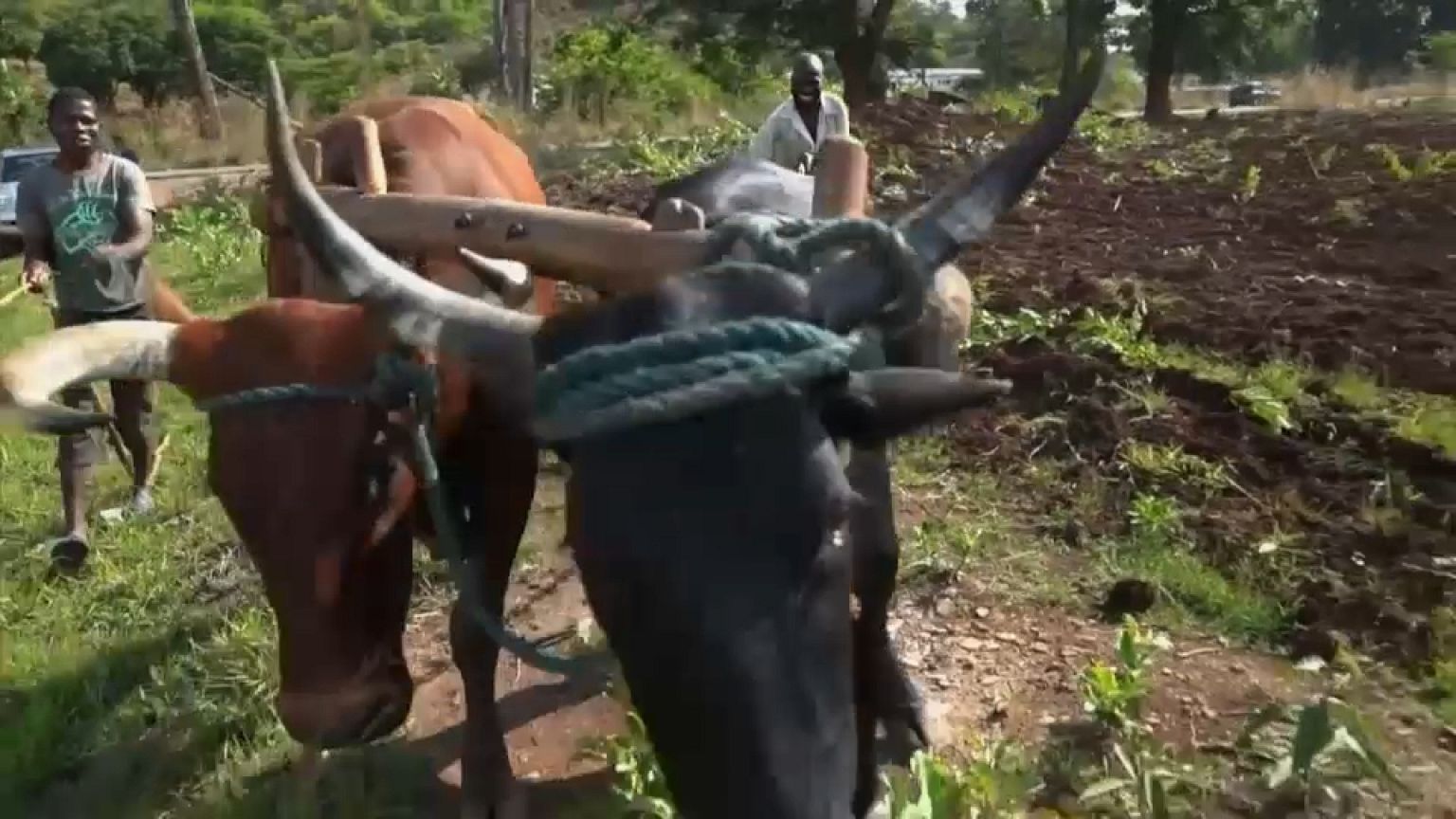 Medo persiste no Zimbabué rural